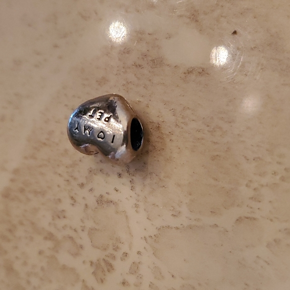 Pet Charm - Picture 2 of 3